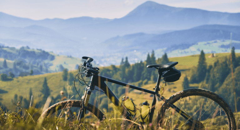 Lire la suite à propos de l’article Using OceanWP Theme&rsquo;s eCommerce Features for Your Sale Bikes Website